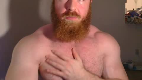 Pec inspector online show from January 17, 3:45 am