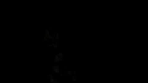 Alex online show from February 18, 1:00 pm