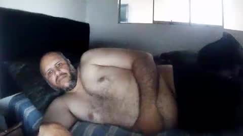 Pedro online show from March 15, 11:24 am