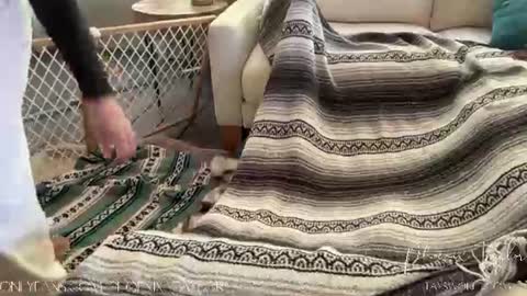 PHOENIX TAYLOR online show from June 11, 5:22 pm