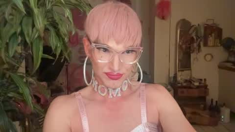 pinkfag online show from June 15, 5:05 pm