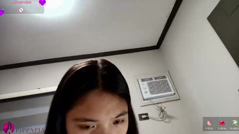 PippaPia online show from May 1, 1:32 am