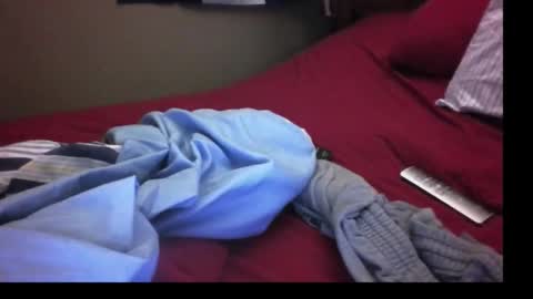 whom like be watching.i online show from November 15, 12:23 am