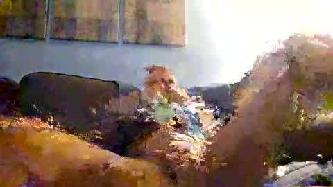 pleaseher66 online show from October 30, 12:11 am