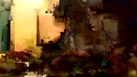 plu07f3520 online show from March 15, 10:35 pm