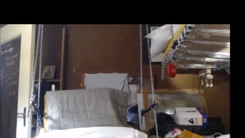 Plumerialba online show from December 15, 4:04 pm