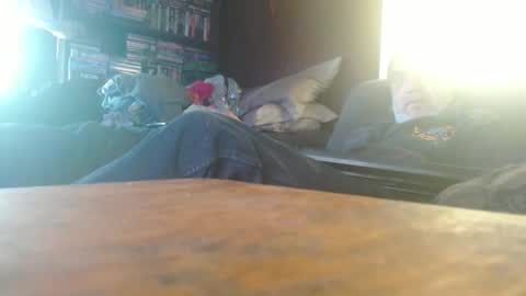 porkingit400 online show from May 12, 12:58 pm