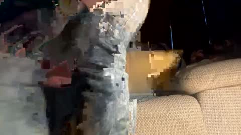 shane online show from January 15, 3:39 pm