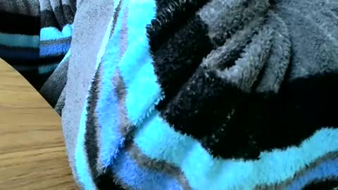Snapshot of poshman65 chatting on February 23, 12:48 pm poshman65 online show from February 23, 12:48 pm