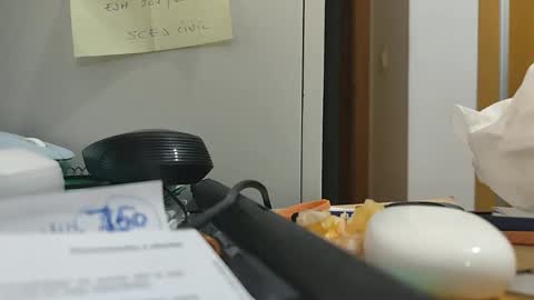 ppillo online show from November 17, 10:45 pm