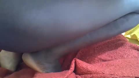 pretty_shalley online show from November 30, 12:01 pm