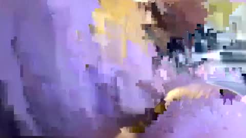 prettycockselfsucker91 online show from April 6, 4:10 am