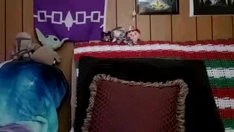 prettysolidd7 online show from January 4, 6:09 am