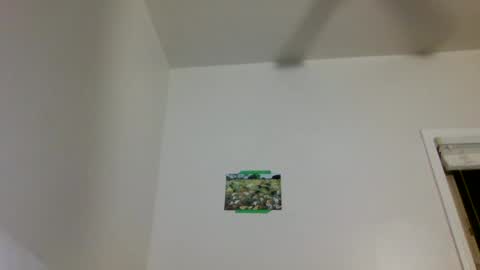 Dahlia online show from December 2, 2:02 am