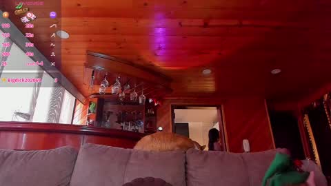 Cori online show from December 11, 2:00 pm