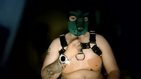 Pup Kori online show from June 8, 6:14 am