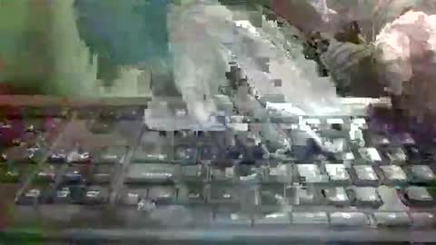 pup_y online show from January 8, 6:03 pm