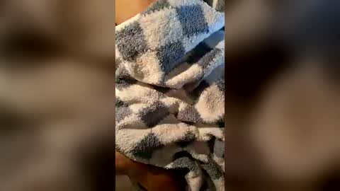 pussyeater420696953 online show from June 16, 6:39 am
