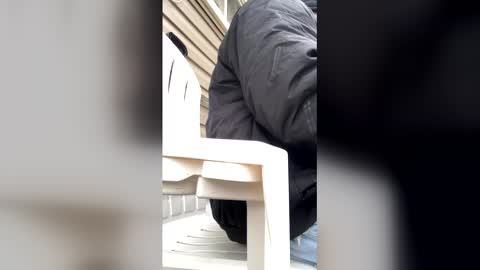 pyrex8 online show from January 7, 2:44 pm