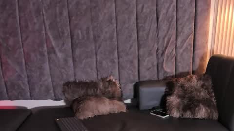 rachell_owen online show from November 12, 5:10 am