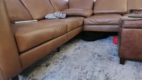 DressSock Shoe online show from April 16, 2:55 am