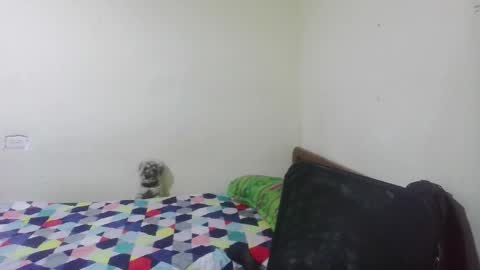 rami_hot0 online show from April 1, 1:12 pm