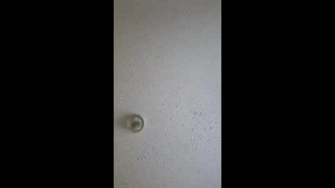 razalgirls online show from March 3, 9:22 pm