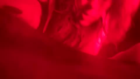 rcherrycola00 online show from March 29, 6:59 am