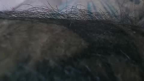 realrubpirate online show from November 2, 6:35 am