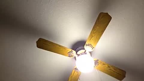 red24devils online show from January 7, 12:04 am