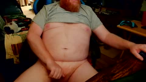 red_sea_bear online show from July 11, 12:30 pm