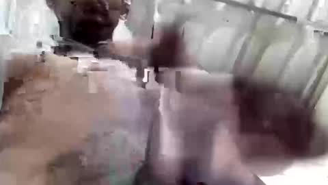 reinft online show from February 5, 8:40 am