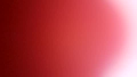 Snapshot of rhino69xx chatting on December 8, 6:54 am rhino69xx online show from December 8, 6:54 am