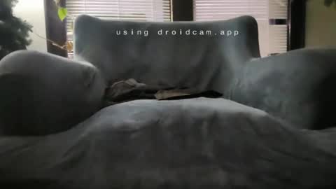 tatted ripped korean online show from December 9, 1:13 pm