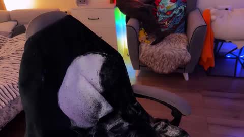   DianaBrite            fansl y online show from November 7, 1:57 pm