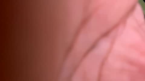 roberto925 online show from January 10, 7:11 pm