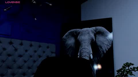 rocco_santos online show from September 17, 8:40 am