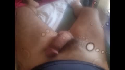 rollino83 online show from October 8, 7:25 am