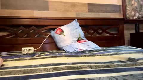 Sexyboyforlick online show from December 2, 11:02 pm