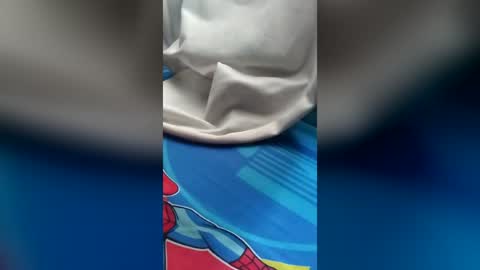 Ronimpas online show from July 4, 7:56 am