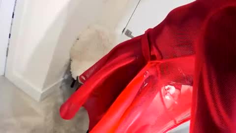 Roxy online show from November 9, 4:05 am