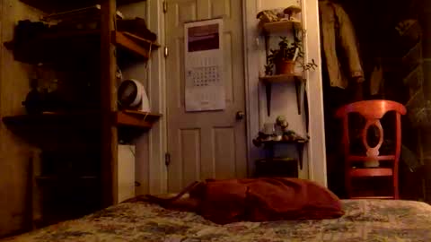 rp131313 online show from November 15, 8:05 am