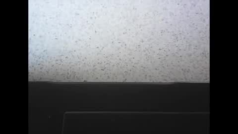 rubixman online show from April 25, 3:53 pm