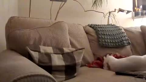 Snapshot of rustyx22 chatting on January 31, 3:52 am Rusty online show from January 31, 3:52 am