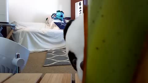 Snapshot of salis1981 chatting on February 8, 6:11 pm salis1981 online show from February 8, 6:11 pm