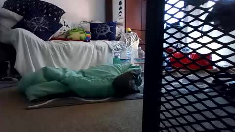 Snapshot of salis1981 chatting on February 7, 12:31 am salis1981 online show from February 7, 12:31 am