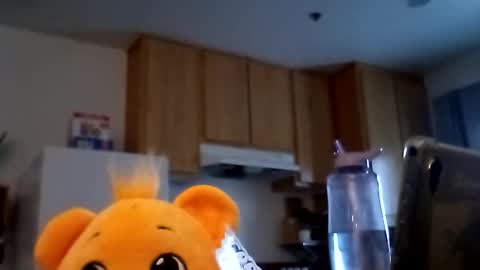 salis1981 online show from February 19, 12:32 am