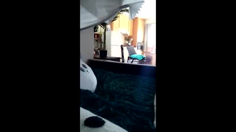 salis1981 online show from March 12, 10:35 pm