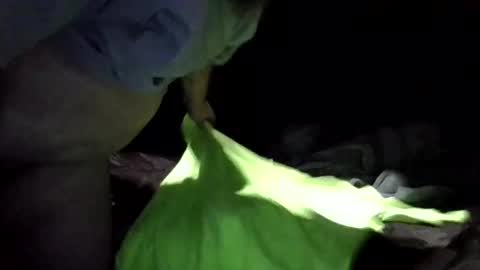 sandj133117 online show from February 4, 2:07 am