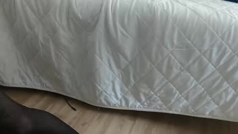 sann2656 online show from March 10, 10:08 am